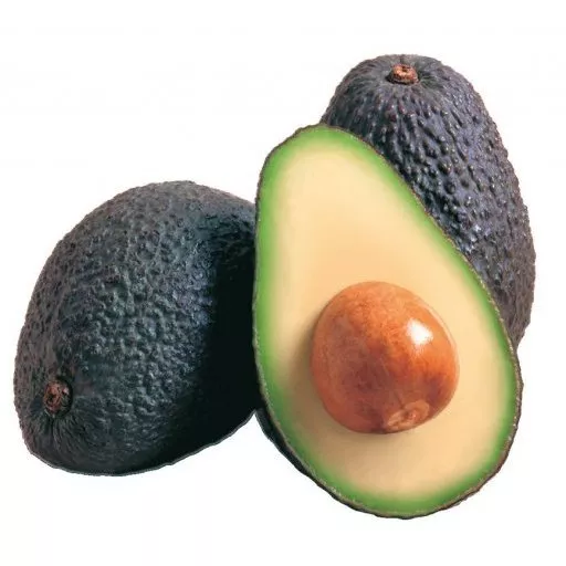 Økologisk Avocado Hass - 1 Stk - Peru - Uge 36 2026