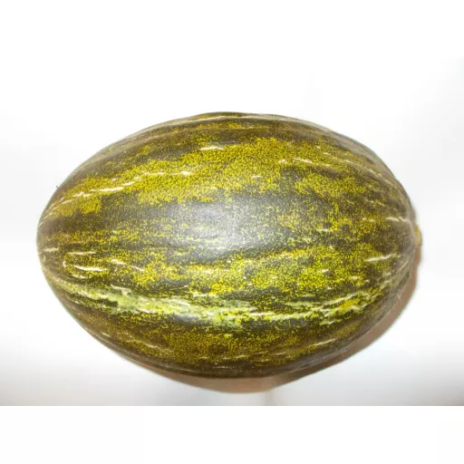 Økologisk Melon 'Piel De Sapo' - 100G - Spanien - Uge 36 2026