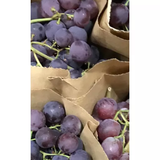Biodynamiske Røde Druer 'Arra' Carrybag - 500G - Spanien - Uge 36 2026