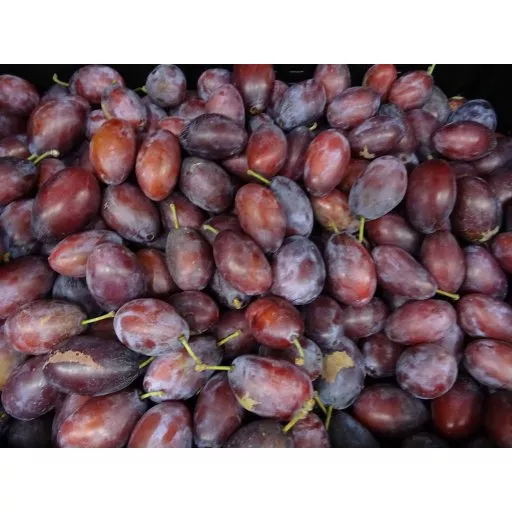 Biodynamiske Sveske Blommer - 100G - Tyskland