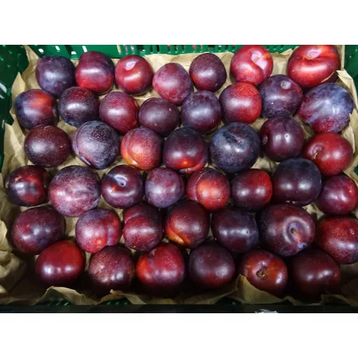 Økologiske Blommer Biosphera - 100G - Spanien