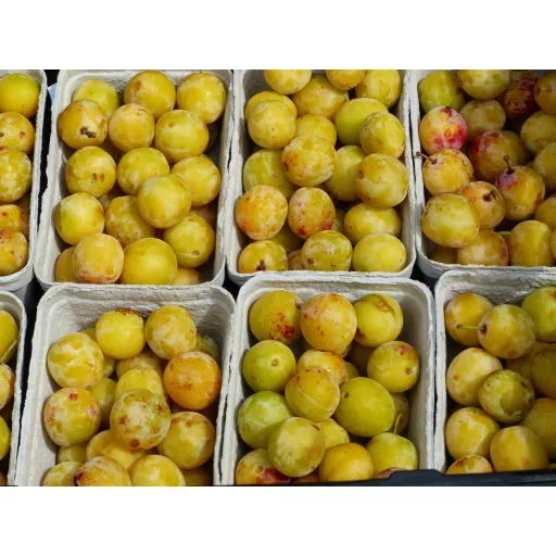 Økologiske Mirabeller - 250G - Tyskland - Uge 36 2026