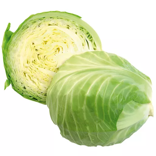 Biodynamisk Hvidkål - 100G - Tyskland