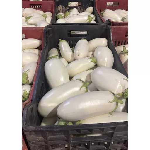 Økologiske Hvide Aubergine - 100G - Tyskland
