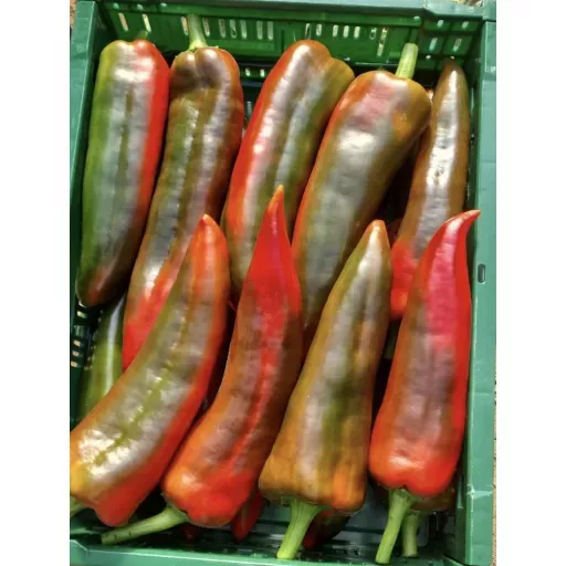 Biodynamiske Snackpeber - 100G - Tyskland