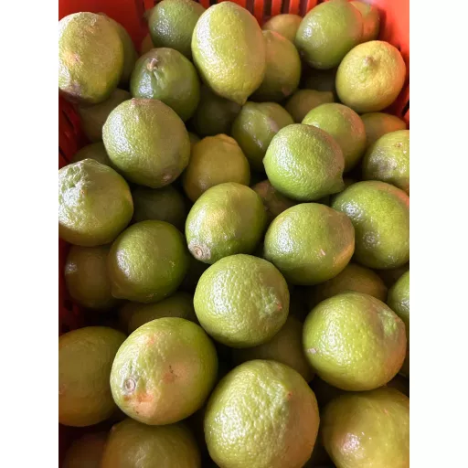 Biodynamiske Citroner 'Verdello' - 100G - Italien