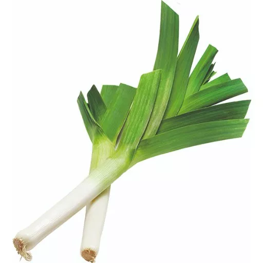Biodynamiske Porrer - 100G - Tyskland - Uge 36 2026