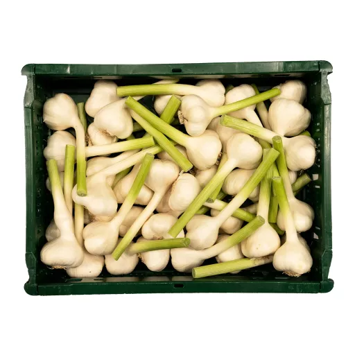Økologiske Friske Hvidløg - 100G - Tyskland - Uge 36 2026