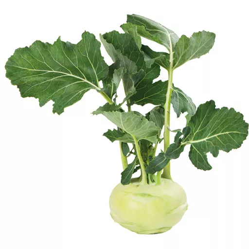 Biodynamisk Kålrabi - 1 Stk - Tyskland - Uge 36 2026