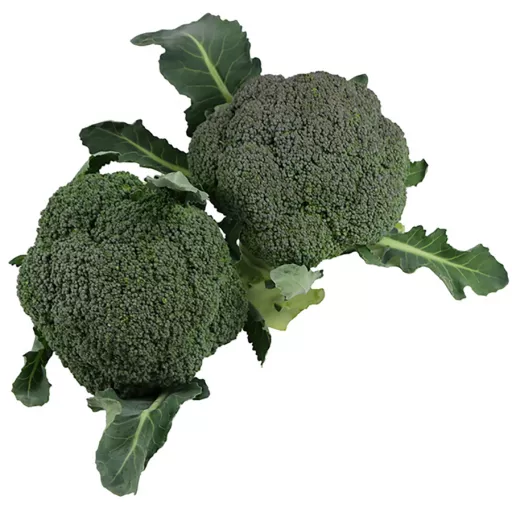 Økologisk Broccoli - 100G - Tyskland - Uge 36 2026
