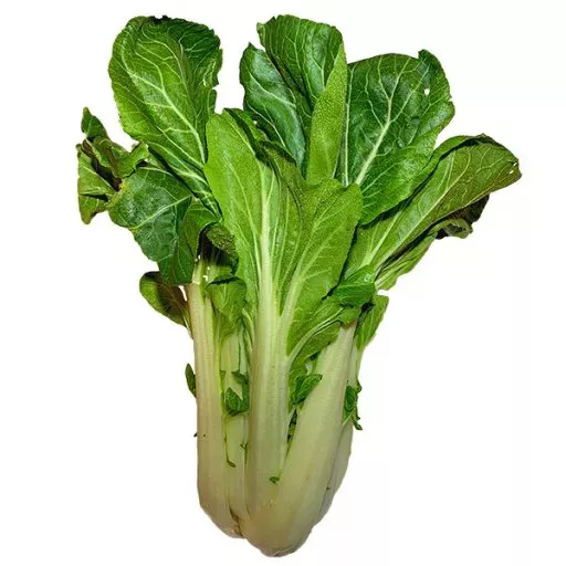 Økologisk Pak Choi - 1 Stk - Tyskland - Uge 36 2026
