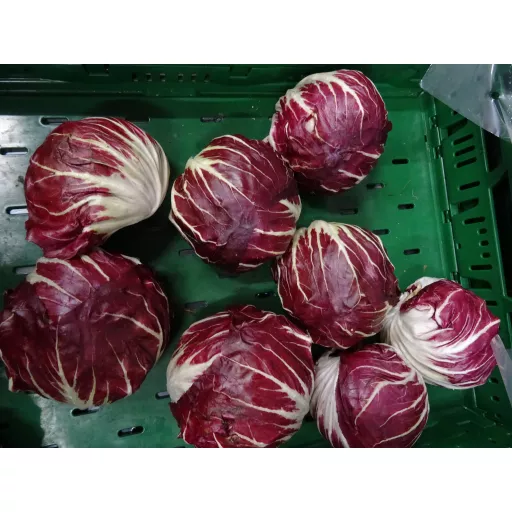 Biodynamisk Radicchio - 100G - Tyskland - Uge 36 2026