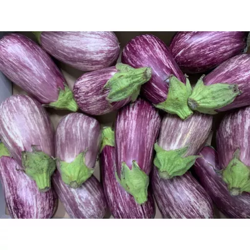 Biodynamiske Aubergine 'Graffiti - 100G - Tyskland