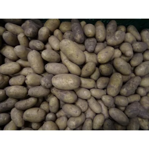 Biodynamiske Kartofler Allians - 100G - Tyskland -