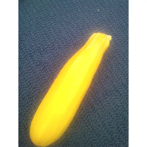 Biodynamiske Gule Courgettes - 100G - Tyskland