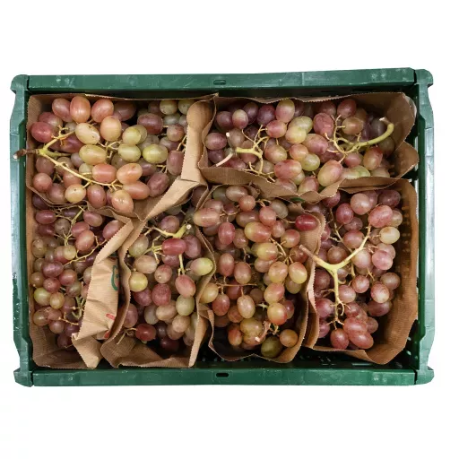 Biodynamiske Røde Druer 'Arra' - 100G - Spanien