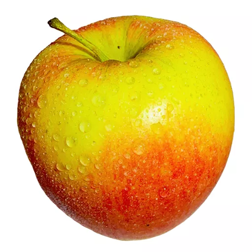 Biodynamiske Æbler 'Braeburn' - 100G - Tyskland