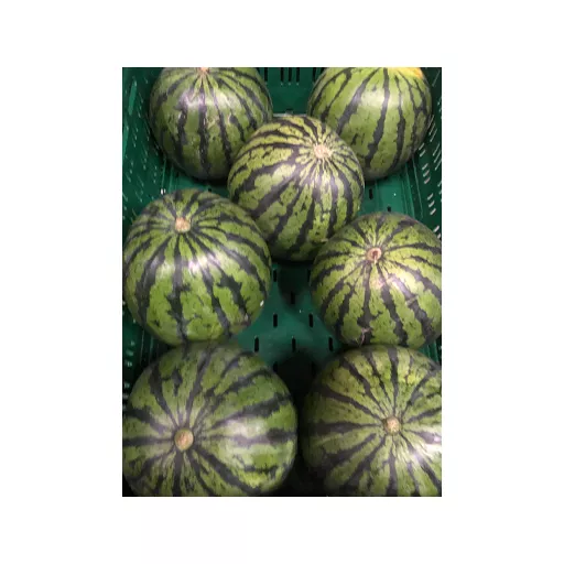 Økologiske Mini Vandmeloner - 100G - Tyskland