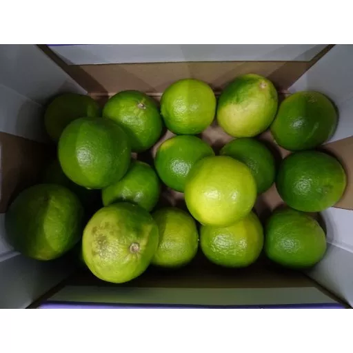 Økologisk Lime - 100G - Peru