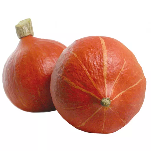 Økologisk Hokkaido - 100G - Tyskland