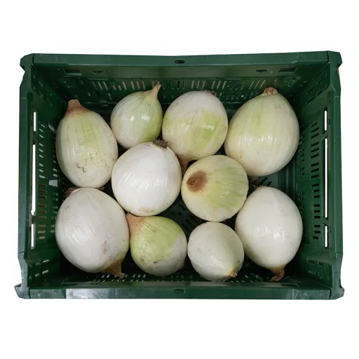 Økologiske Nye Salatløg - 100G - Italien