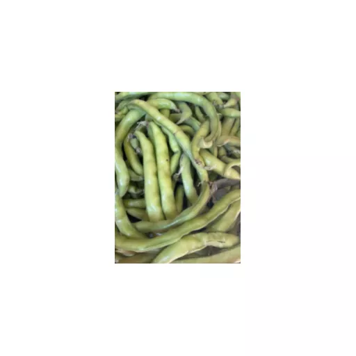 Biodynamiske Hestebønner - 100G - Tyskland