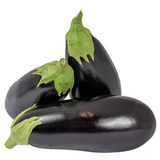 Økologisk Aubergine - 100G - Spanien