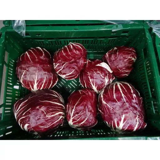 Økologiske Radicchio - 100G - Tyskland