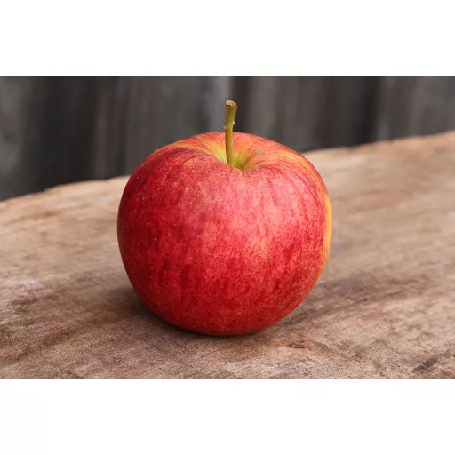 Biodynamiske Æbler 'Red Jonaprince' - 100G - Tyskland -