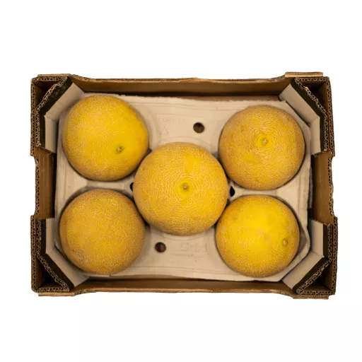 Økologisk Galia Melon - 100G - Spanien