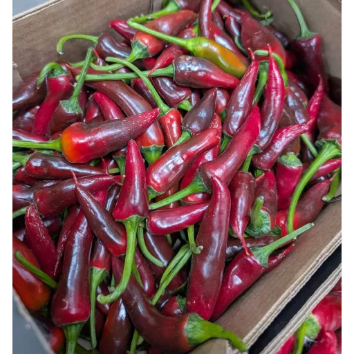 Økologiske Chili - 100G - Spanien