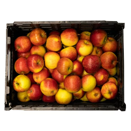 Biodynamiske Æbler 'Natyra' - 100G - Tyskland