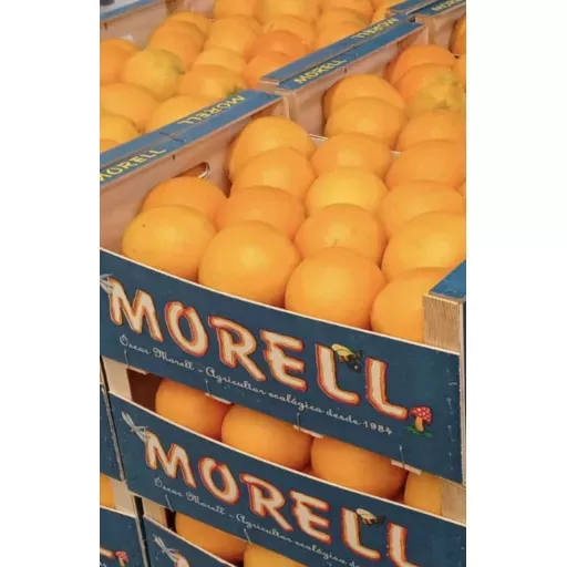 Økologiske Appelsiner Lane Late - 100G - Spanien