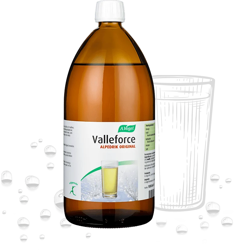 Valleforce Original - 1000ML - A. Vogel