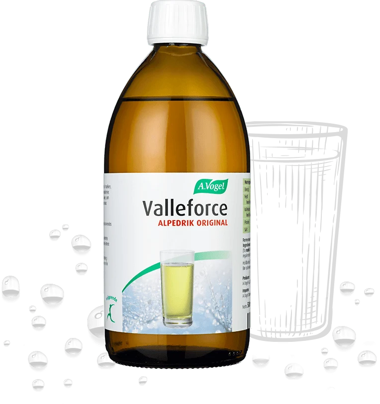 Valleforce Original - 500ML - A. Vogel