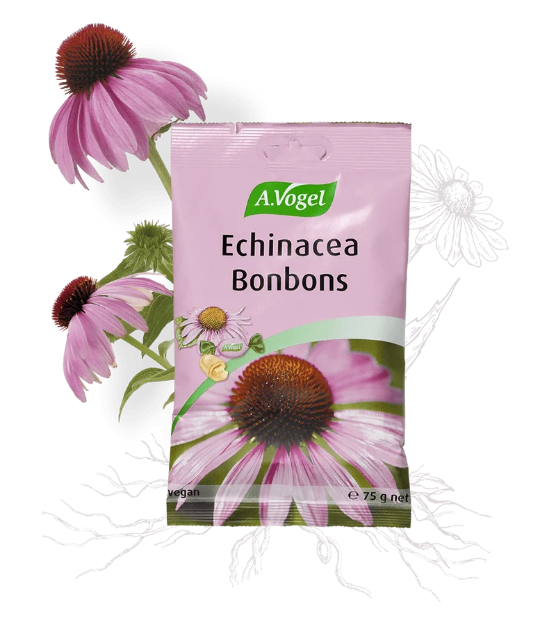 Echinacea Bonbons - 75G - A. Vogel